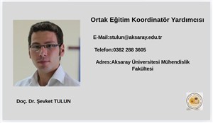 Koordinatör Yardımcısı