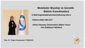 Bölüm Koordinatörlerimiz