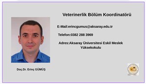 Bölüm Koordinatörlerimiz